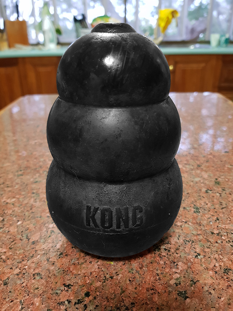 what to fill kong toy with